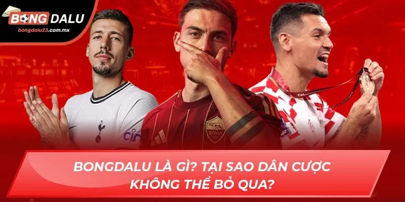Bongdalu là gì? Tại sao dân cược không thể bỏ qua?