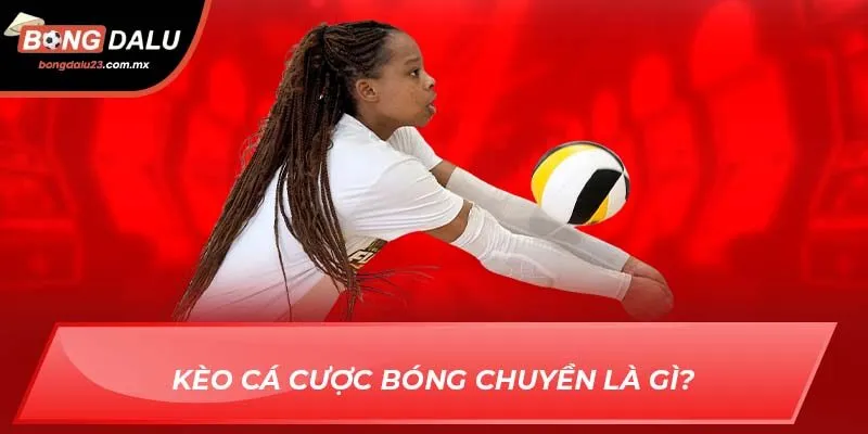 Kèo cá cược bóng chuyền là gì?