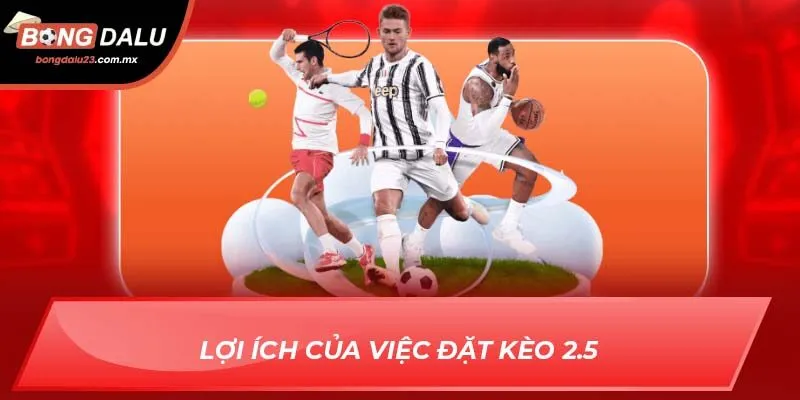 Lợi ích của việc đặt kèo 2.5